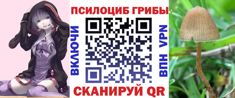 Псилоцибиновые грибы мухоморы  Купить  Котельнич 