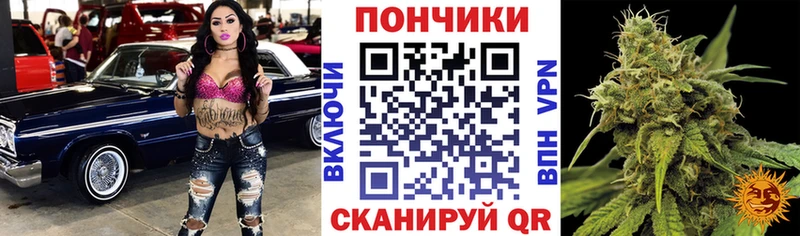 Купить закладки  Котельнич  Бошки Шишки ГИДРОПОН 